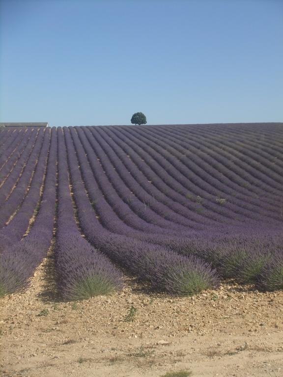 Le Mas Des Aludes La Destrousse Exterior foto